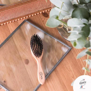 Brosse Petit Modèle Lissante